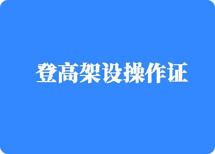 黄色美女啪操啪裸啊啊体骚逼滋味登高架设操作证